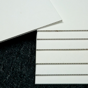DSN Ceramic Flat Membrane 6.jpg