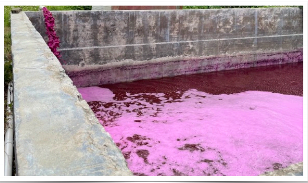 How to treat paper wastewater?