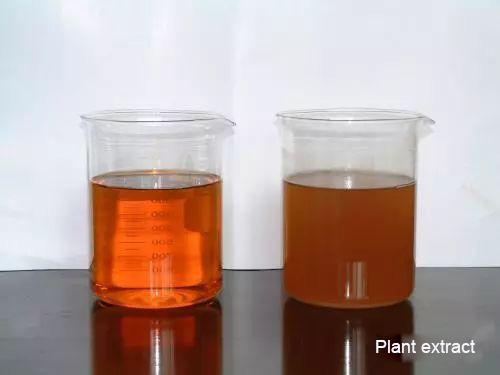 The Application of Ceramic Membrane in Pharmaceutical Field