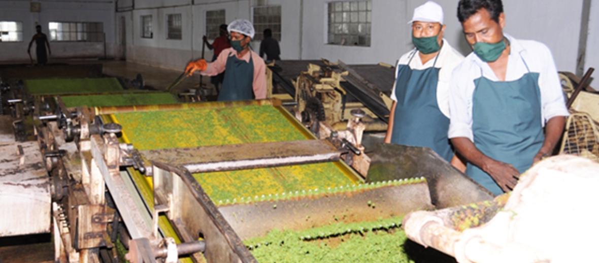 Why membrane separation technology can be applied in the clarification process of green tea juice?